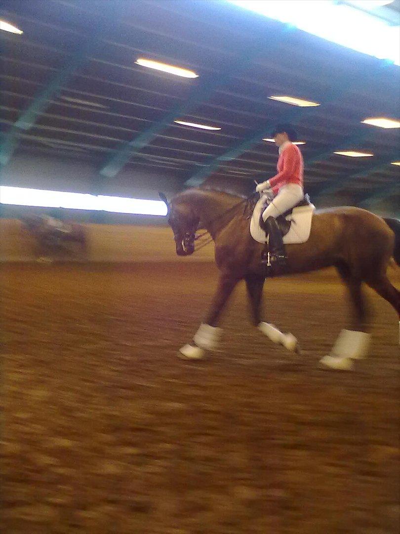 Distriktstævne på Billund sportsrideklub. billede 74