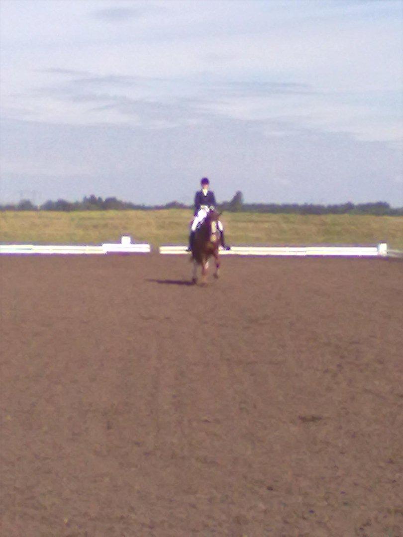 Distriktstævne på Billund sportsrideklub. billede 75