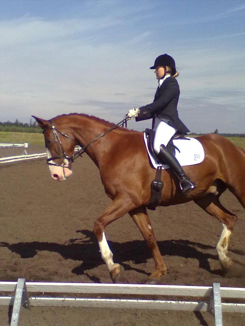 Distriktstævne på Billund sportsrideklub. billede 76