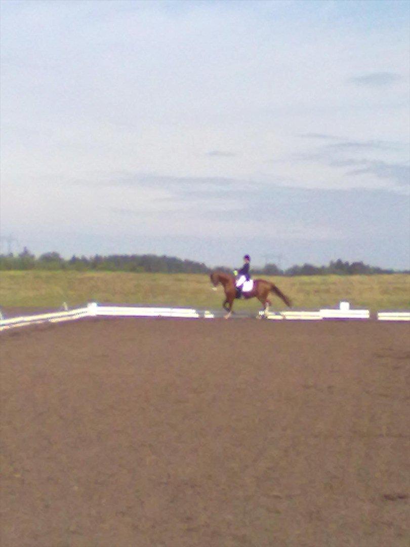 Distriktstævne på Billund sportsrideklub. billede 78