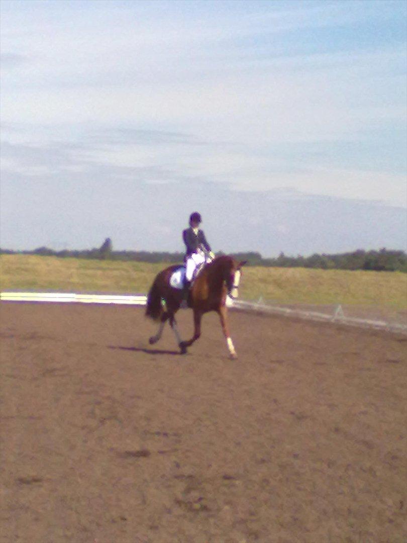 Distriktstævne på Billund sportsrideklub. billede 79