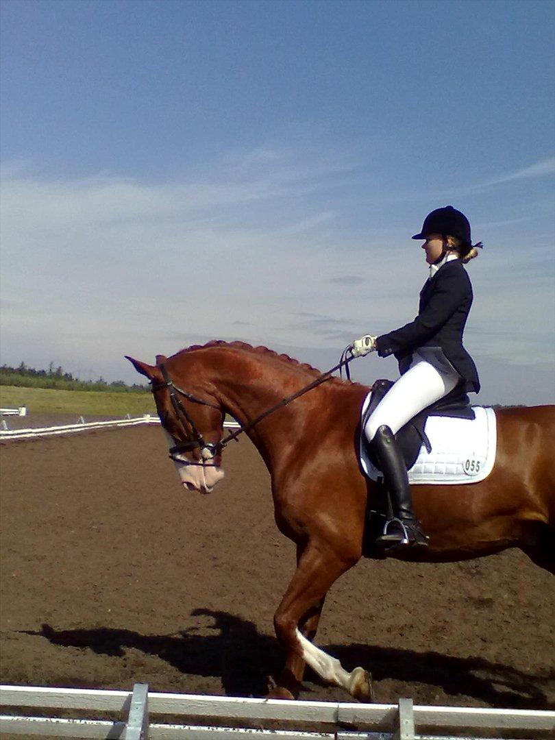 Distriktstævne på Billund sportsrideklub. billede 80