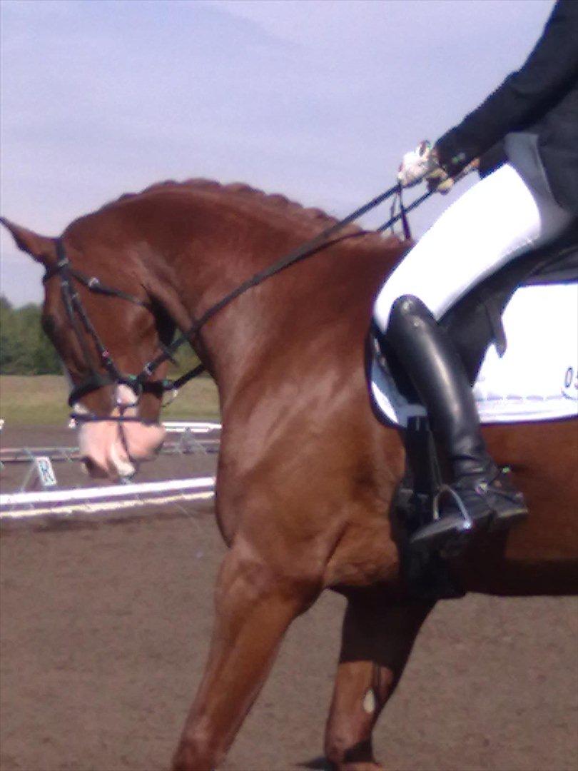 Distriktstævne på Billund sportsrideklub. billede 82