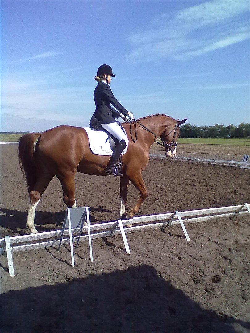 Distriktstævne på Billund sportsrideklub. billede 84