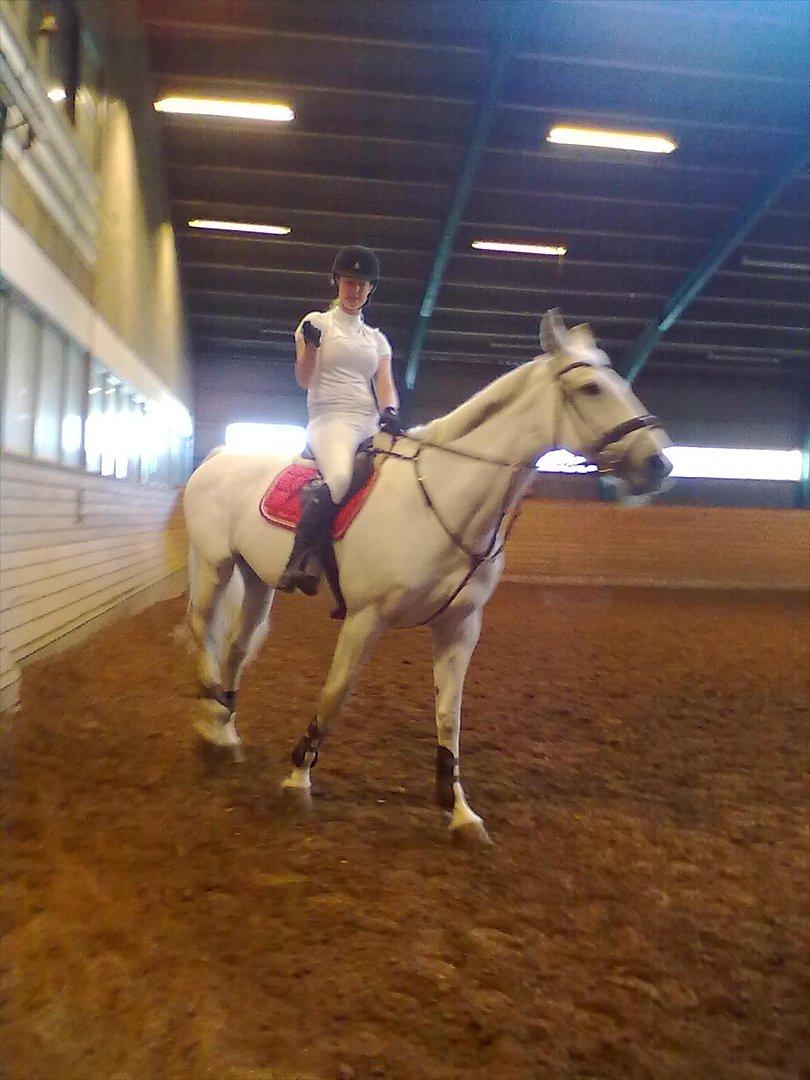 Distriktstævne på Billund sportsrideklub. billede 91