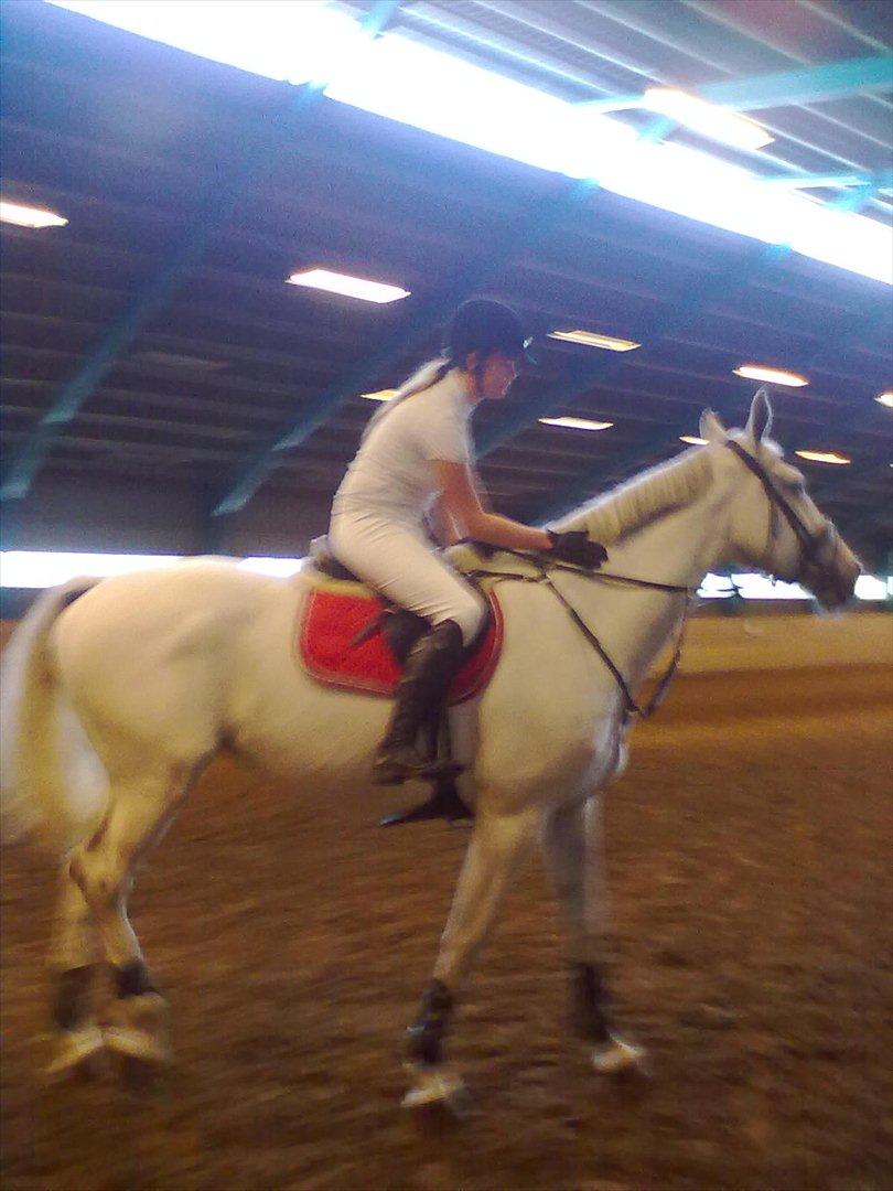 Distriktstævne på Billund sportsrideklub. billede 92