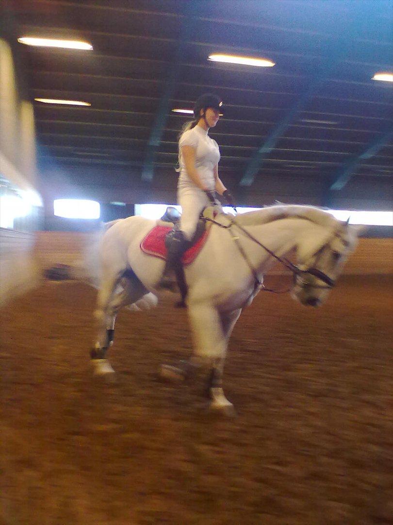 Distriktstævne på Billund sportsrideklub. billede 94