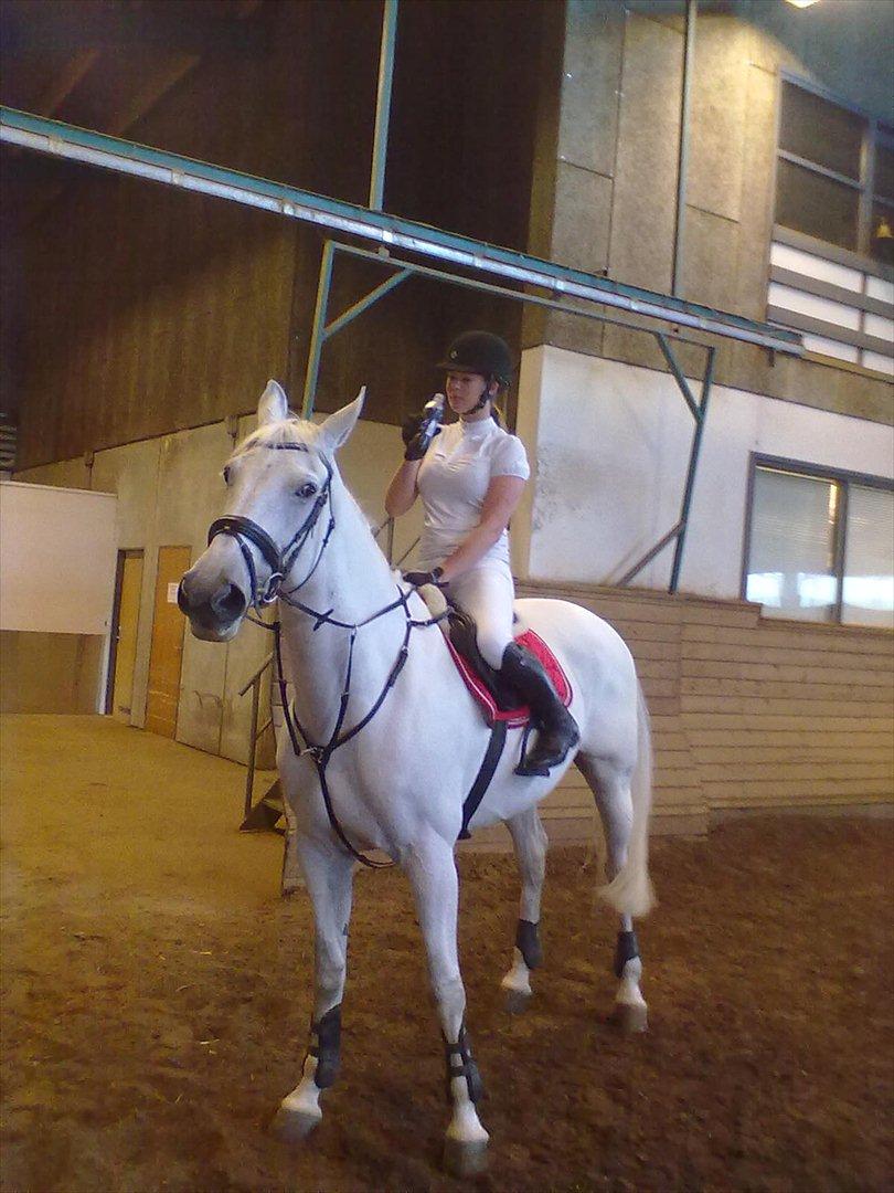 Distriktstævne på Billund sportsrideklub. billede 97