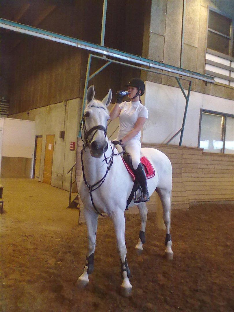 Distriktstævne på Billund sportsrideklub. billede 98