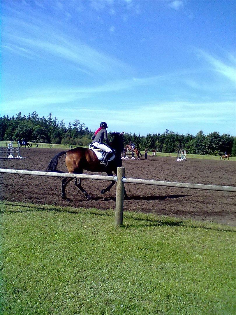 Distriktstævne på Billund sportsrideklub. billede 100