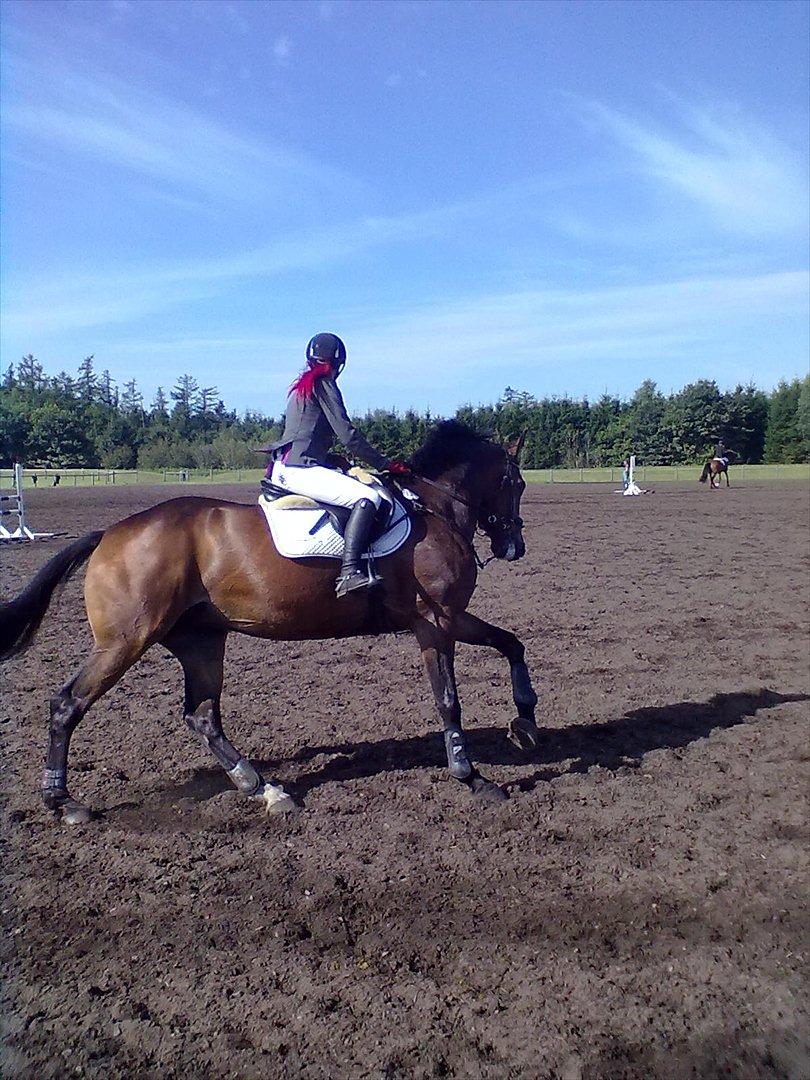 Distriktstævne på Billund sportsrideklub. billede 101