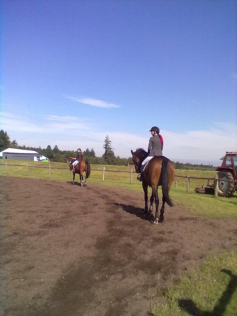 Distriktstævne på Billund sportsrideklub. billede 102