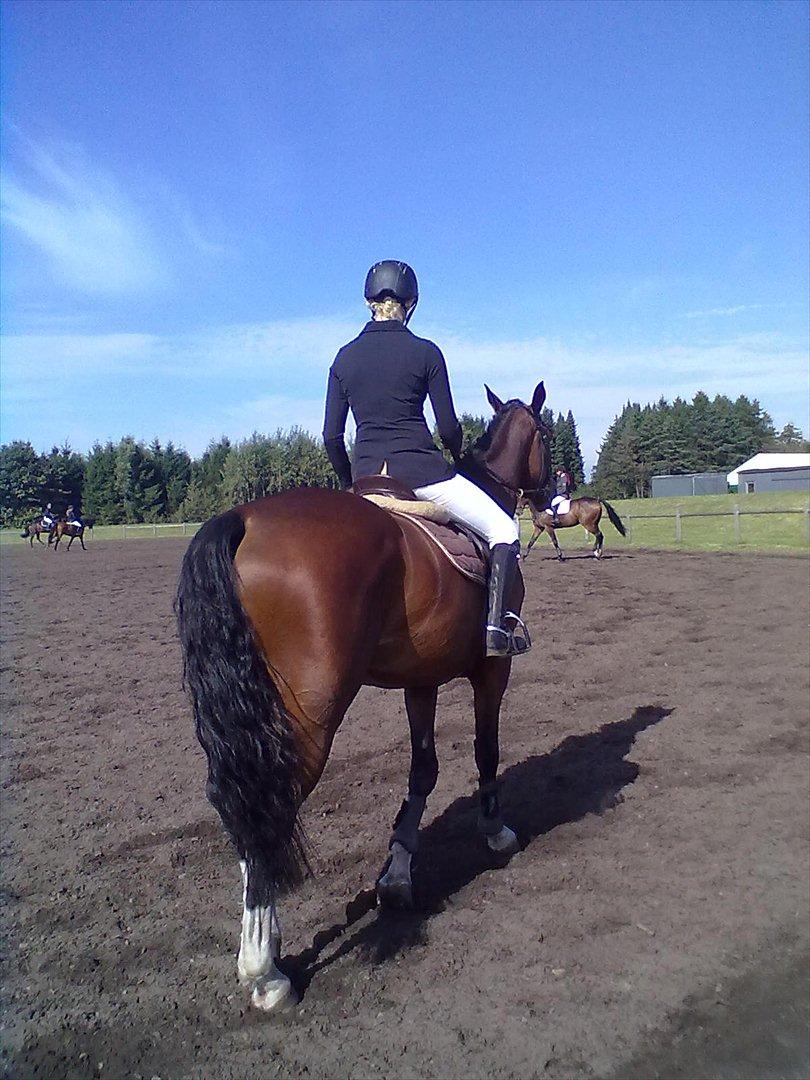 Distriktstævne på Billund sportsrideklub. billede 103