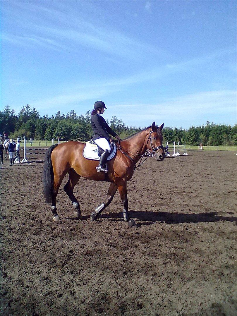 Distriktstævne på Billund sportsrideklub. billede 104