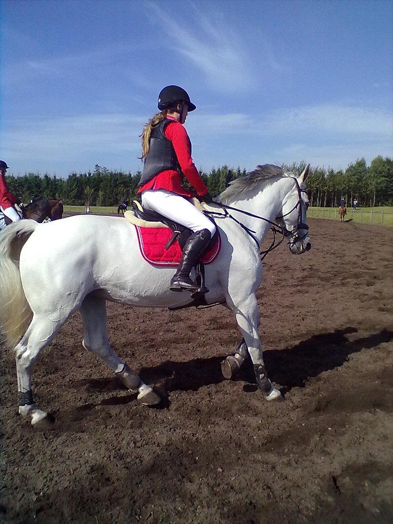 Distriktstævne på Billund sportsrideklub. billede 107