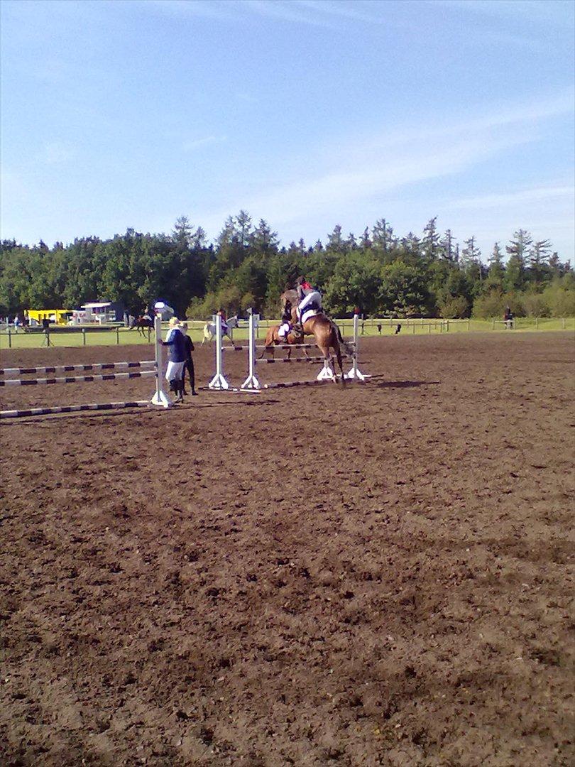Distriktstævne på Billund sportsrideklub. billede 108