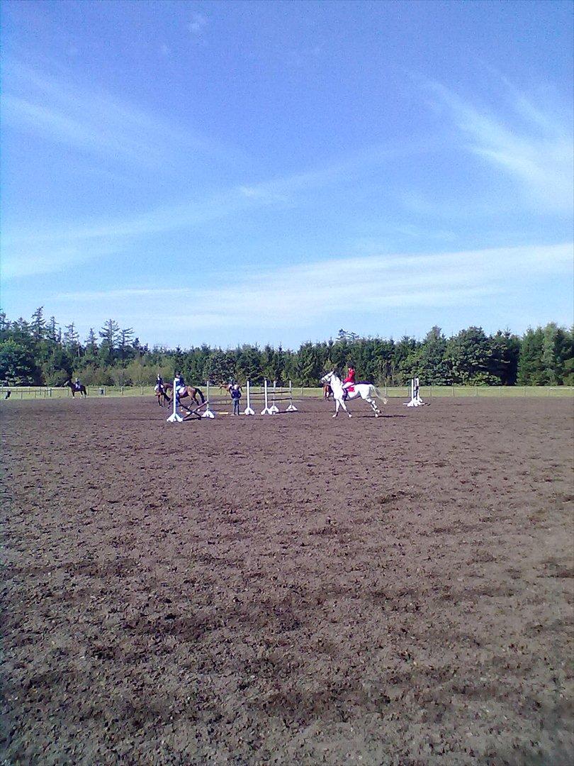 Distriktstævne på Billund sportsrideklub. billede 109