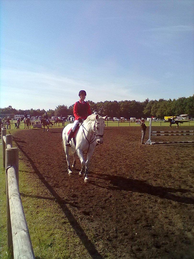 Distriktstævne på Billund sportsrideklub. billede 110