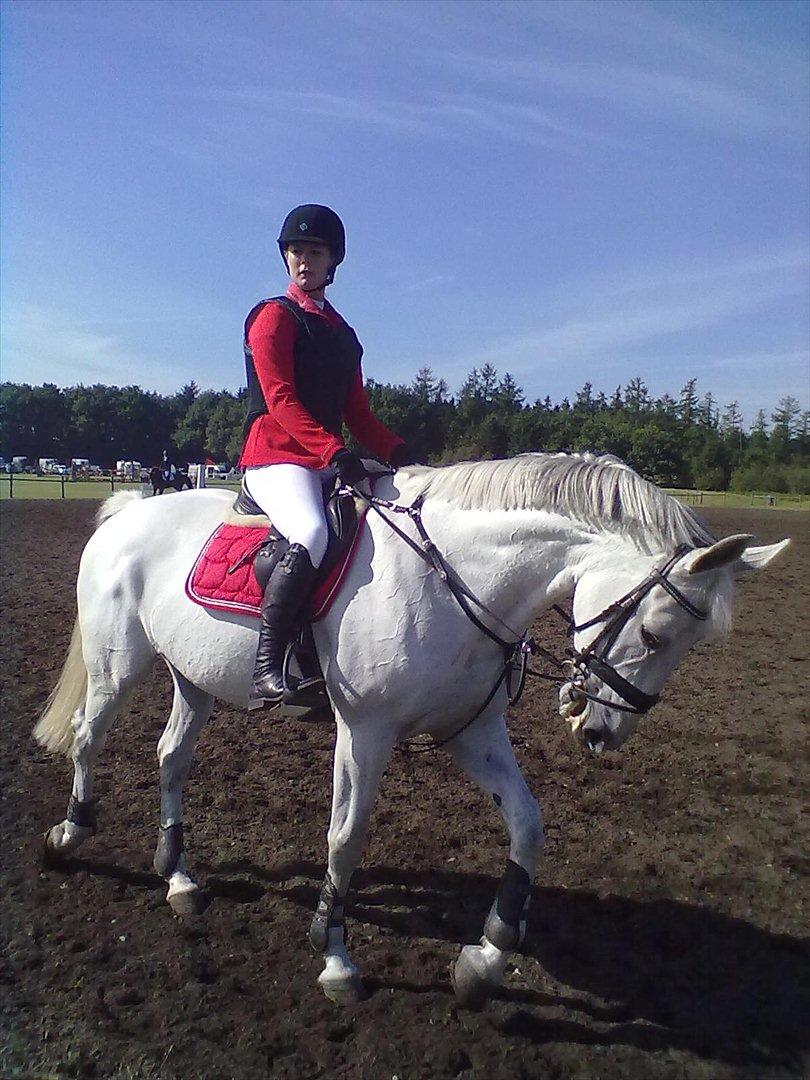 Distriktstævne på Billund sportsrideklub. billede 111