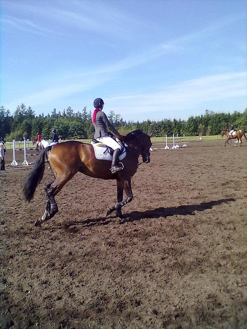 Distriktstævne på Billund sportsrideklub. billede 113
