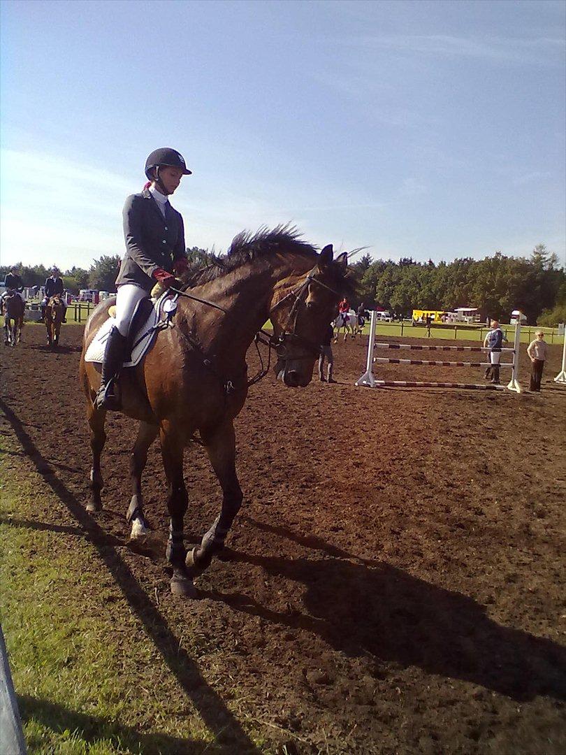 Distriktstævne på Billund sportsrideklub. billede 114
