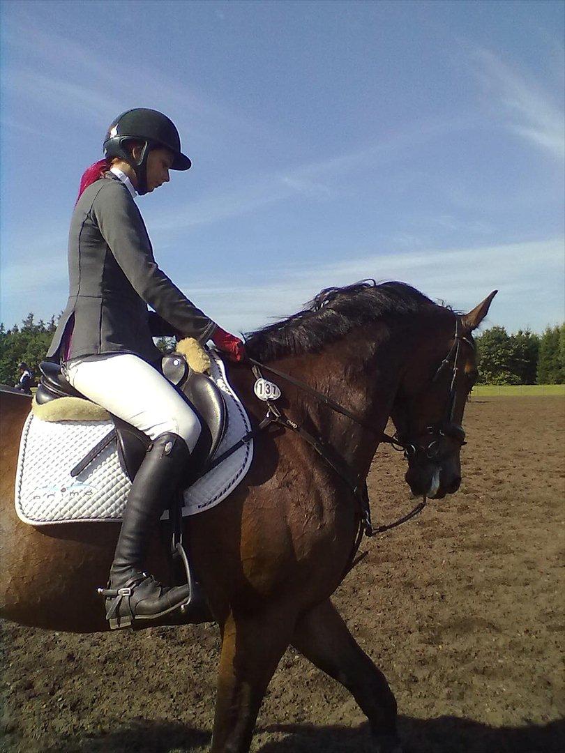 Distriktstævne på Billund sportsrideklub. billede 115