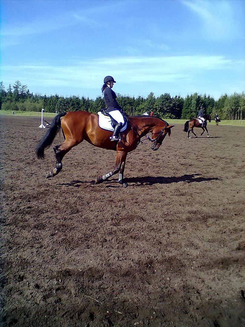 Distriktstævne på Billund sportsrideklub. billede 117