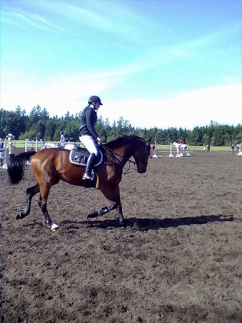 Distriktstævne på Billund sportsrideklub. billede 118