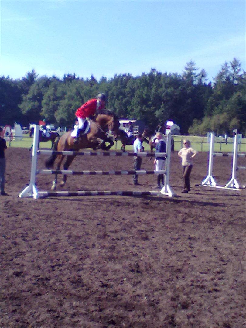 Distriktstævne på Billund sportsrideklub. billede 119