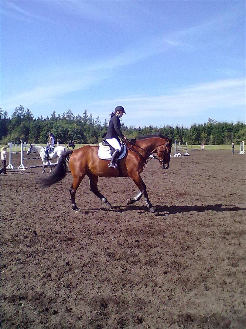 Distriktstævne på Billund sportsrideklub. billede 120