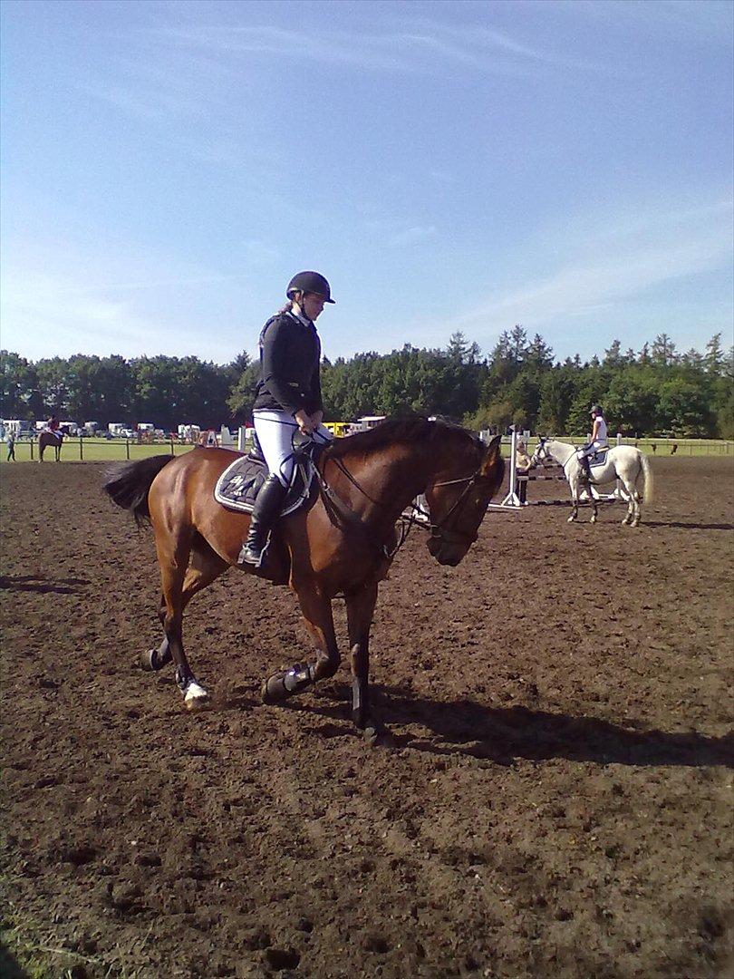 Distriktstævne på Billund sportsrideklub. billede 121