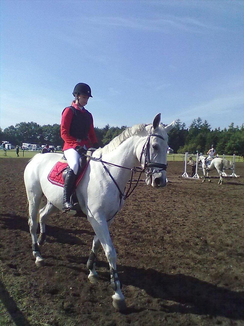 Distriktstævne på Billund sportsrideklub. billede 122