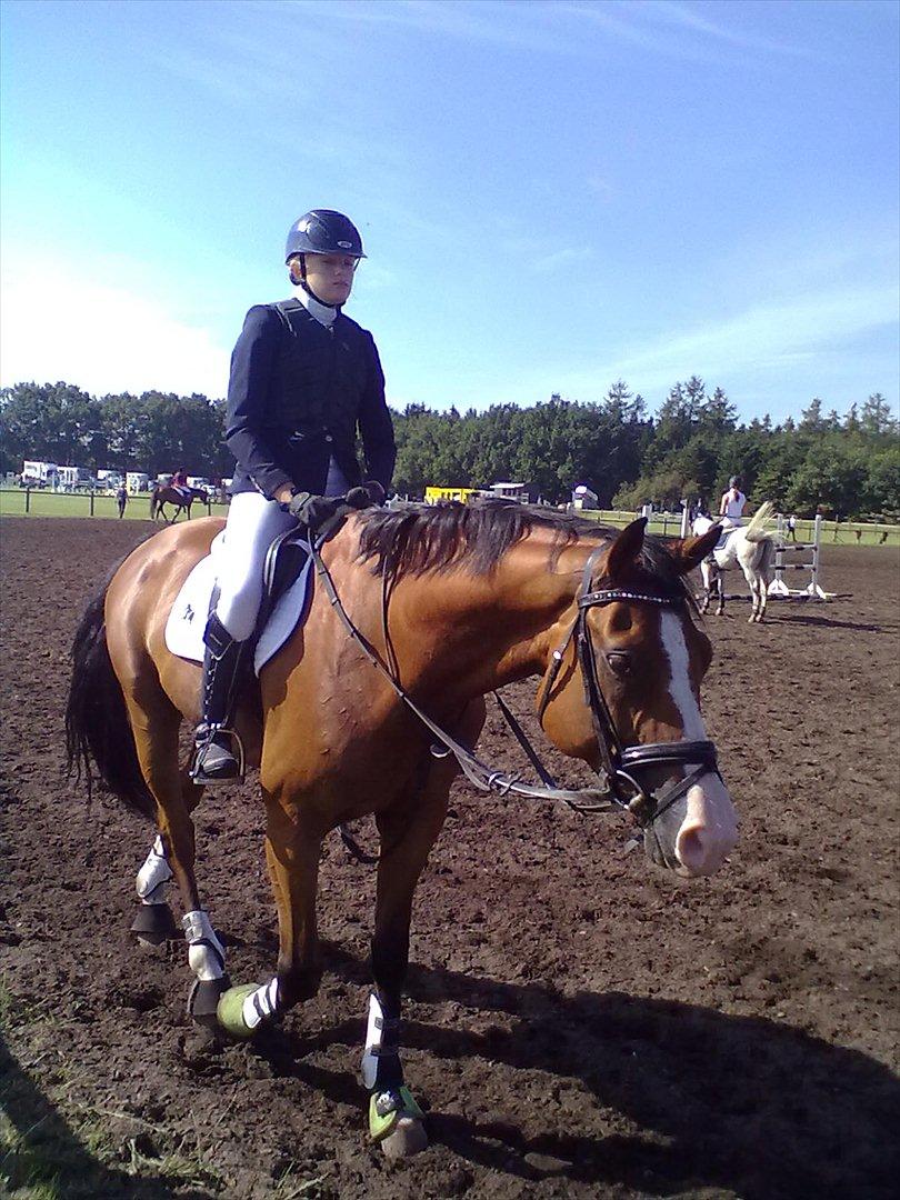 Distriktstævne på Billund sportsrideklub. billede 123