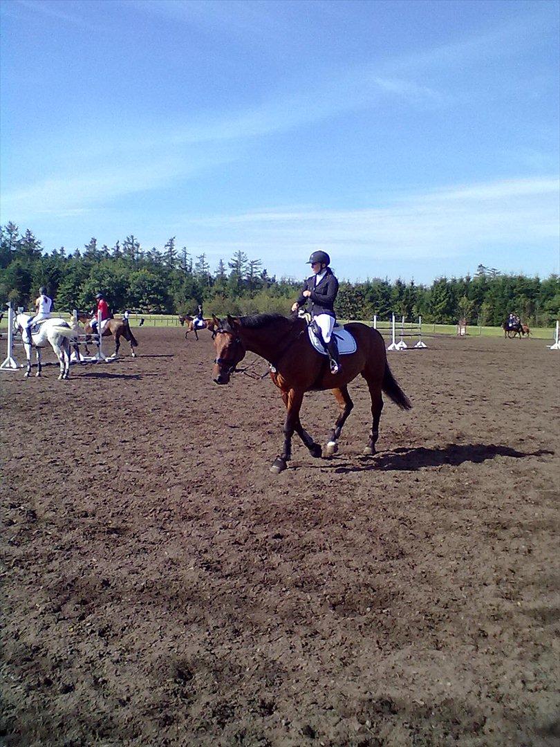 Distriktstævne på Billund sportsrideklub. billede 124