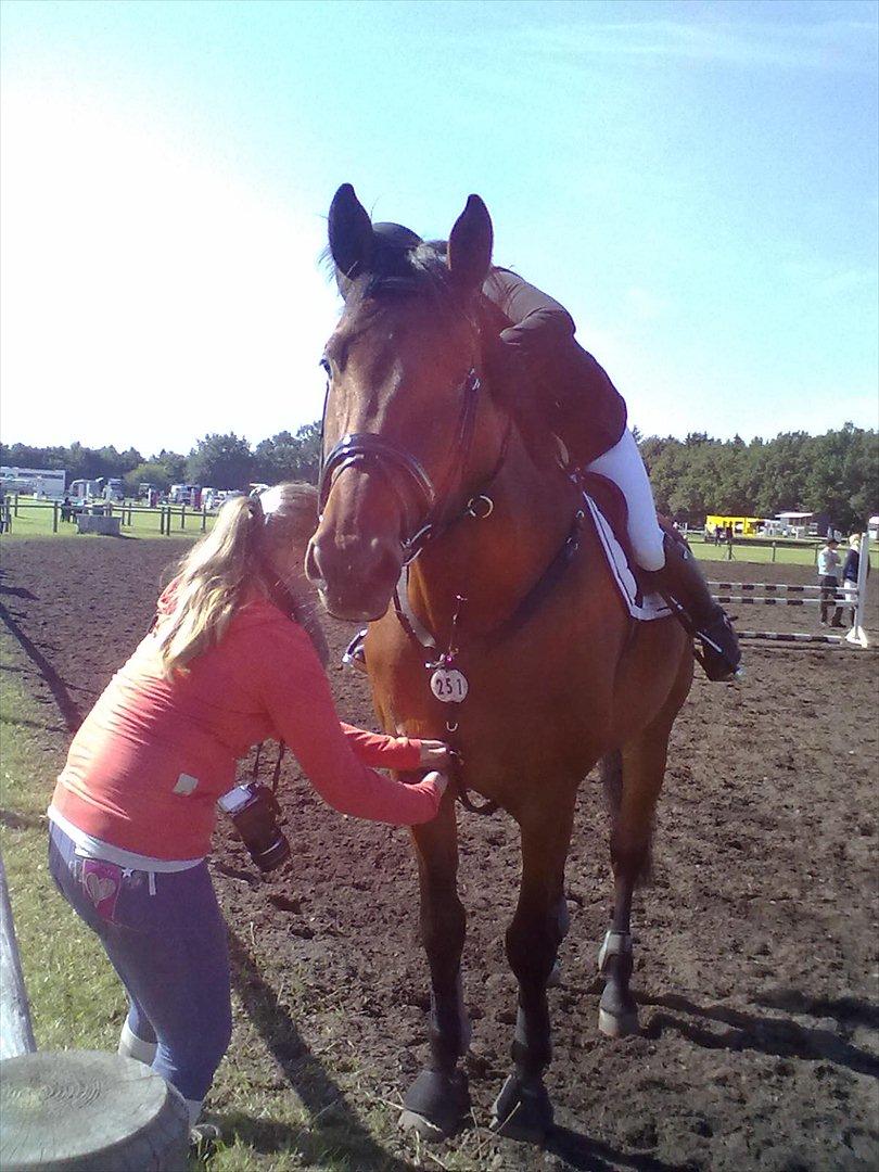 Distriktstævne på Billund sportsrideklub. billede 126