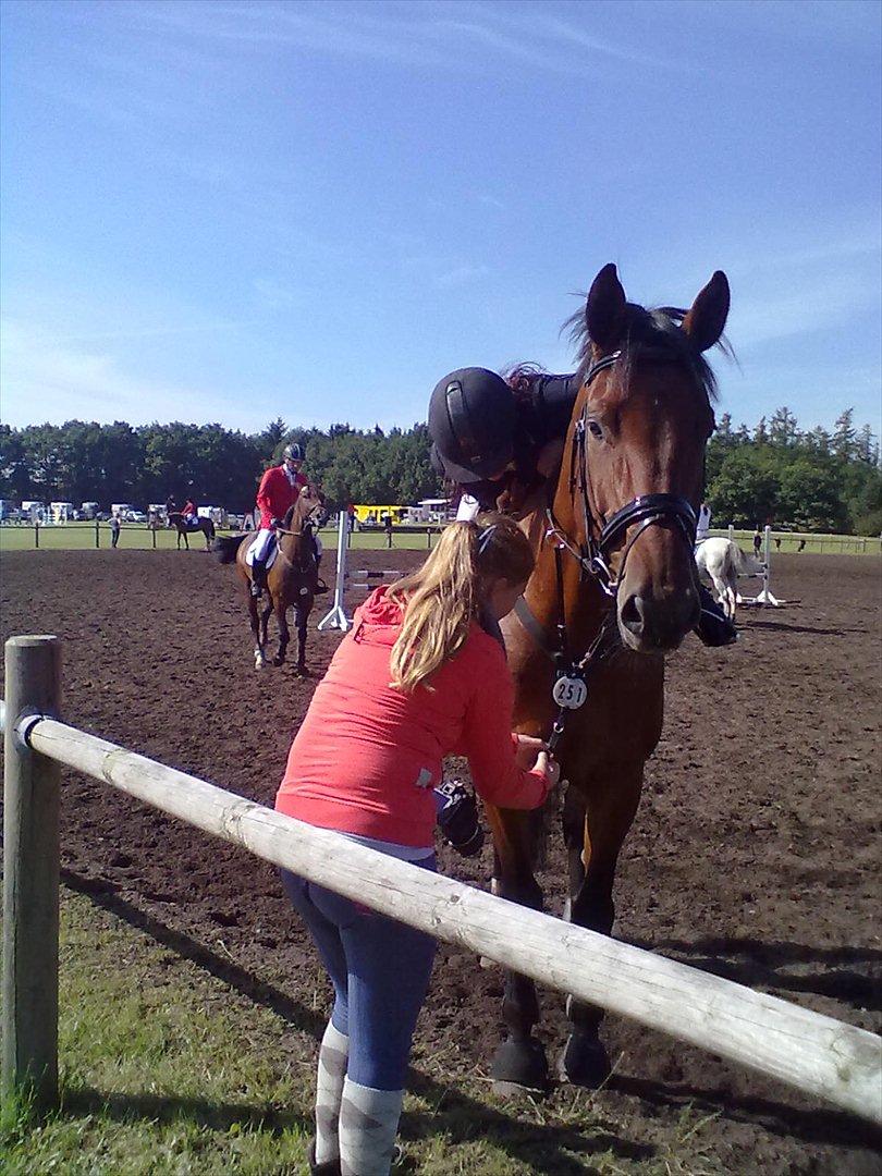 Distriktstævne på Billund sportsrideklub. billede 127