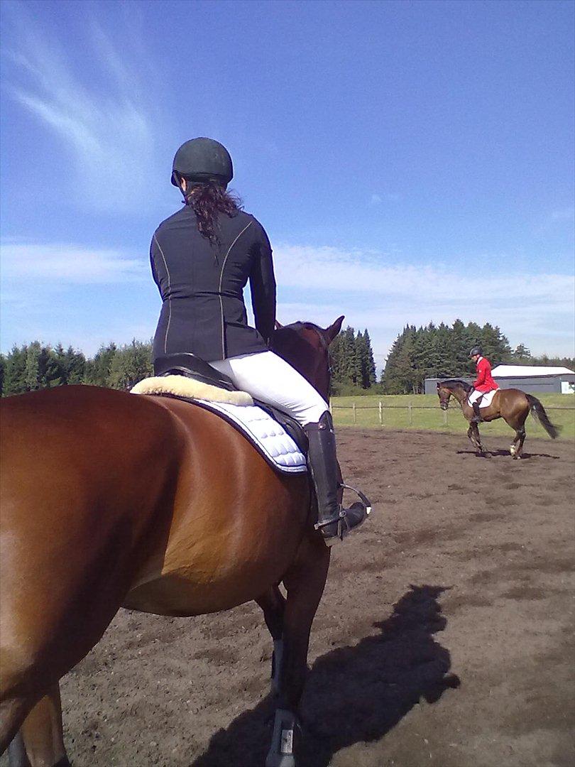 Distriktstævne på Billund sportsrideklub. billede 128