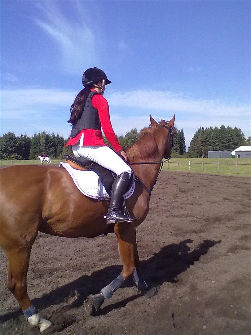 Distriktstævne på Billund sportsrideklub. billede 129