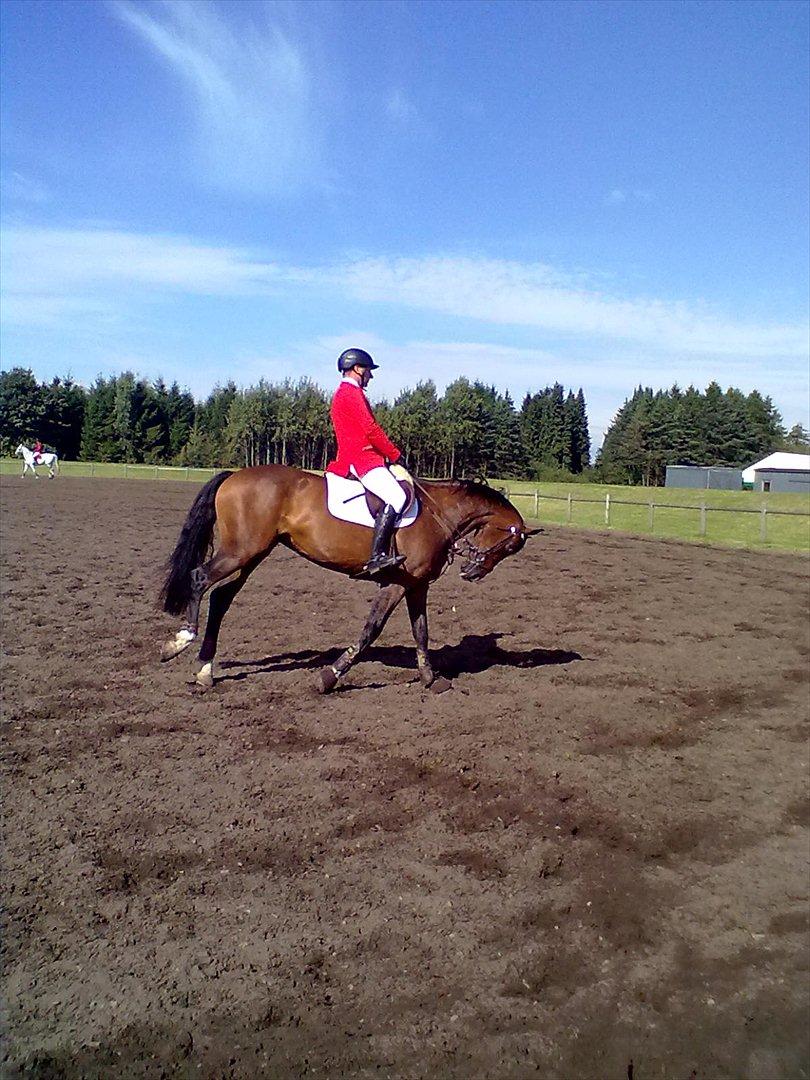 Distriktstævne på Billund sportsrideklub. billede 130