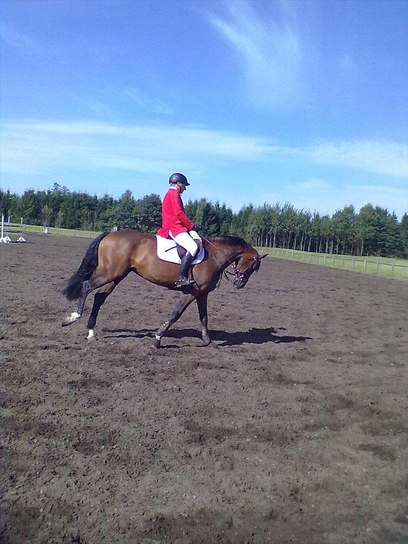 Distriktstævne på Billund sportsrideklub. billede 131