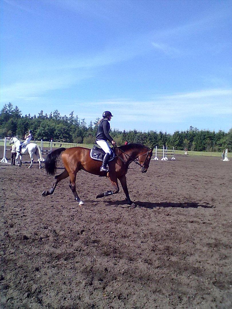 Distriktstævne på Billund sportsrideklub. billede 132