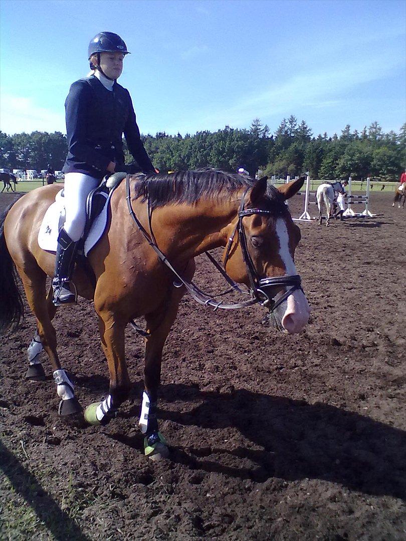Distriktstævne på Billund sportsrideklub. billede 133