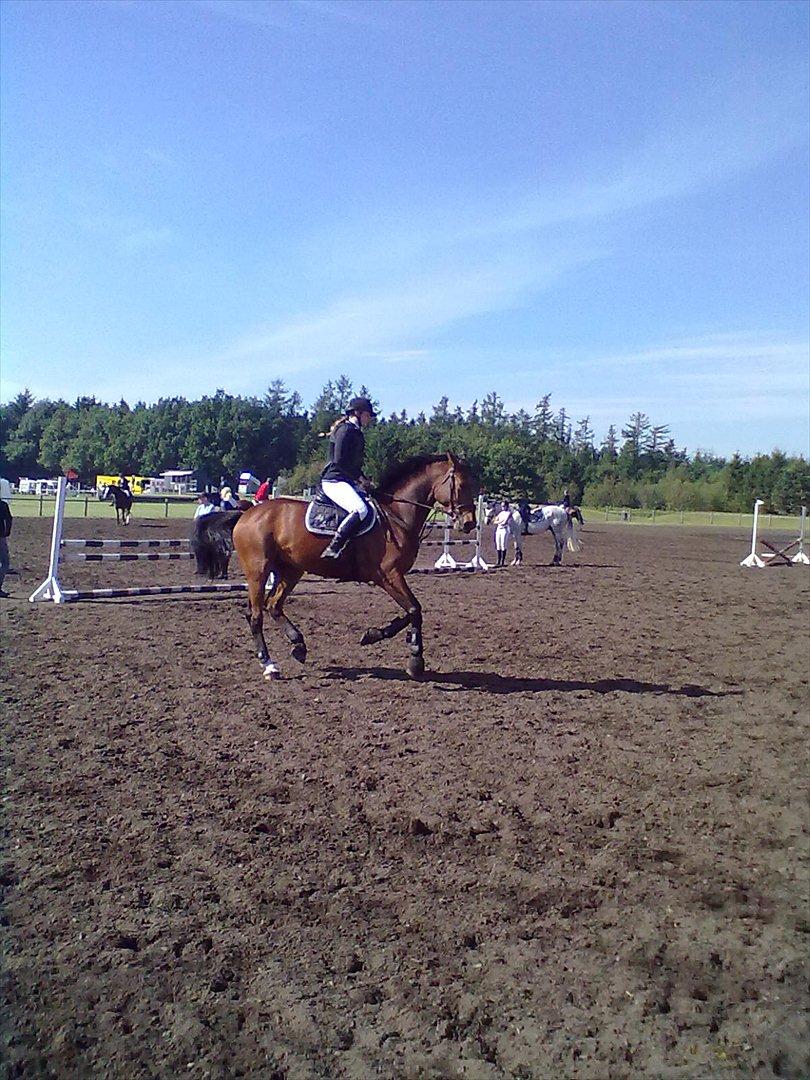 Distriktstævne på Billund sportsrideklub. billede 134