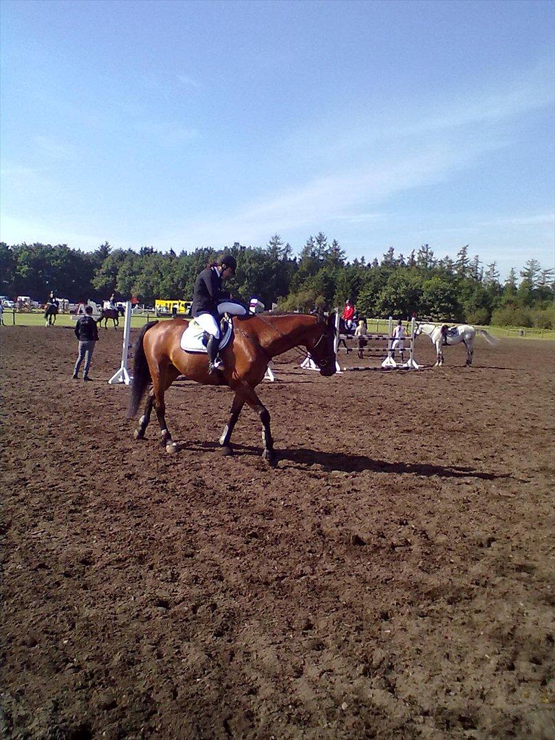 Distriktstævne på Billund sportsrideklub. billede 136