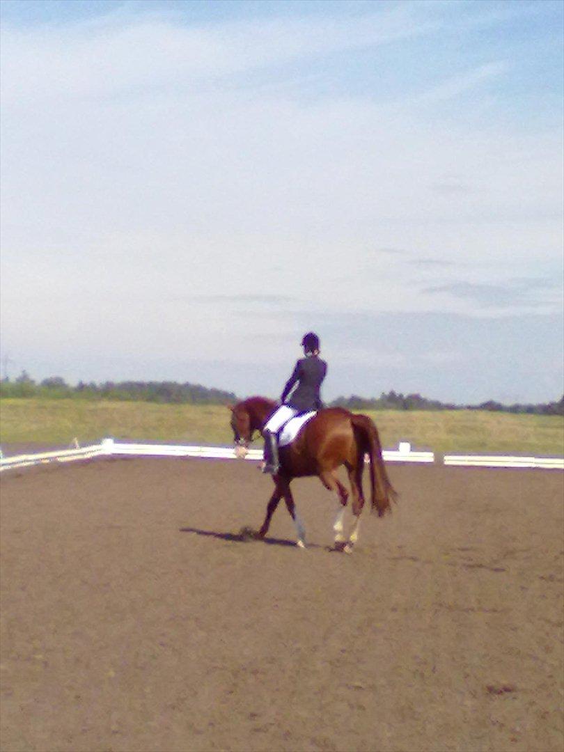 Distriktstævne på Billund sportsrideklub. billede 137