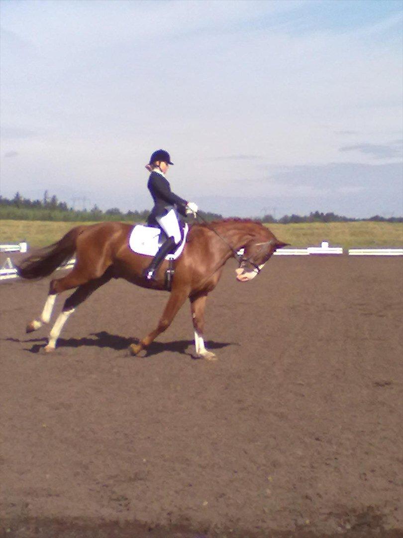 Distriktstævne på Billund sportsrideklub. billede 138