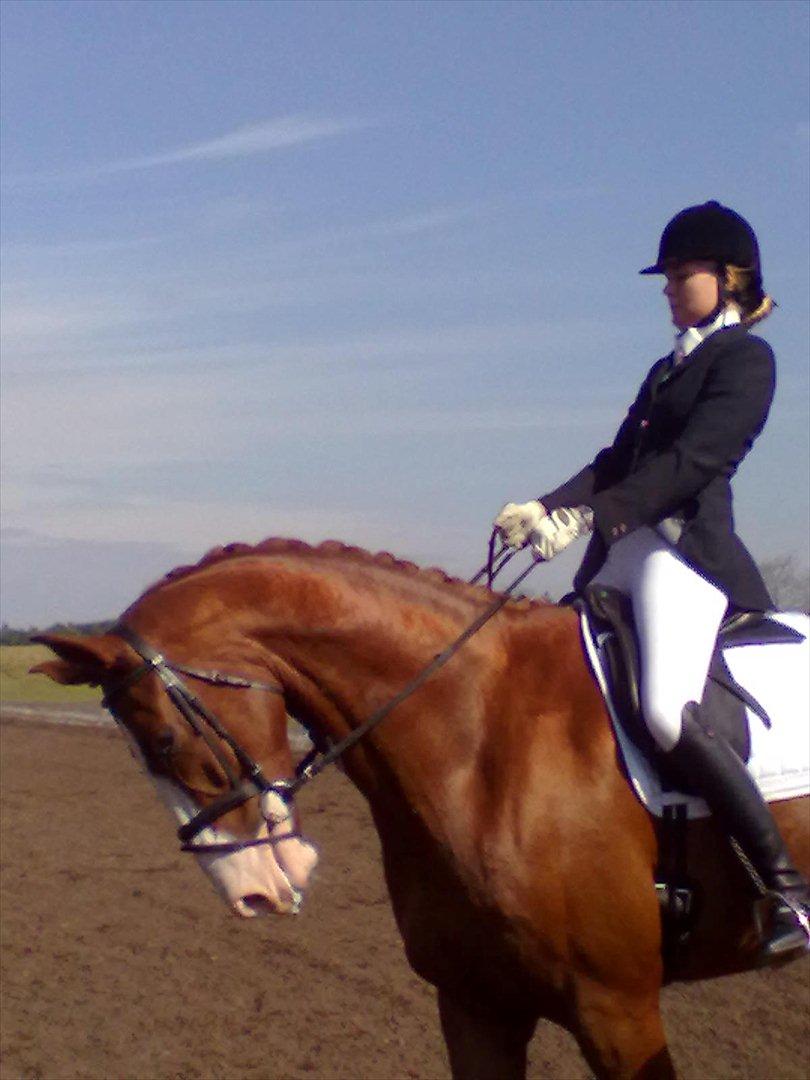 Distriktstævne på Billund sportsrideklub. billede 139