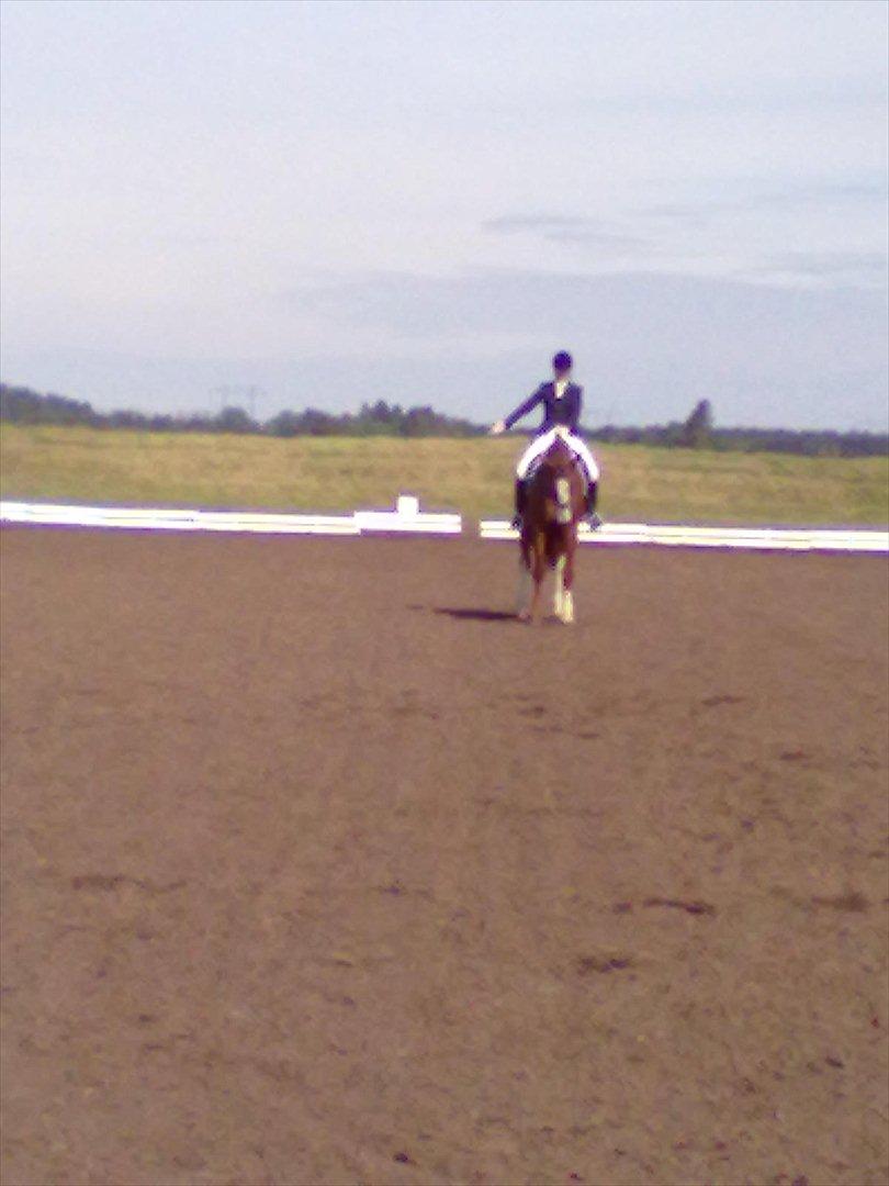 Distriktstævne på Billund sportsrideklub. billede 141