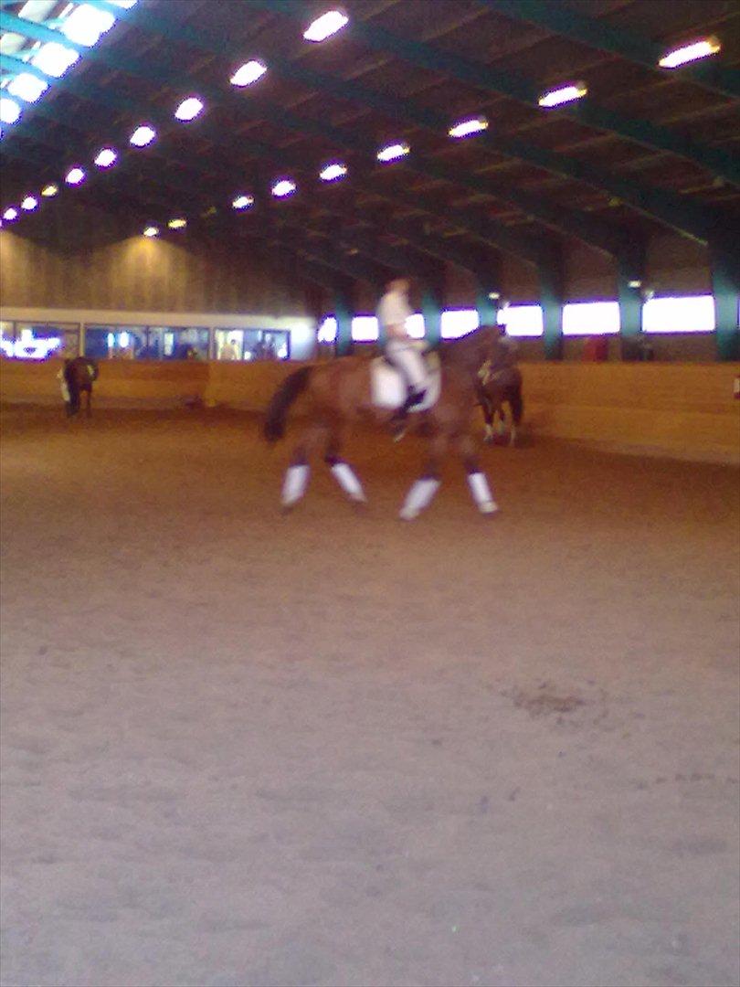 Distriktstævne på Billund sportsrideklub. billede 143