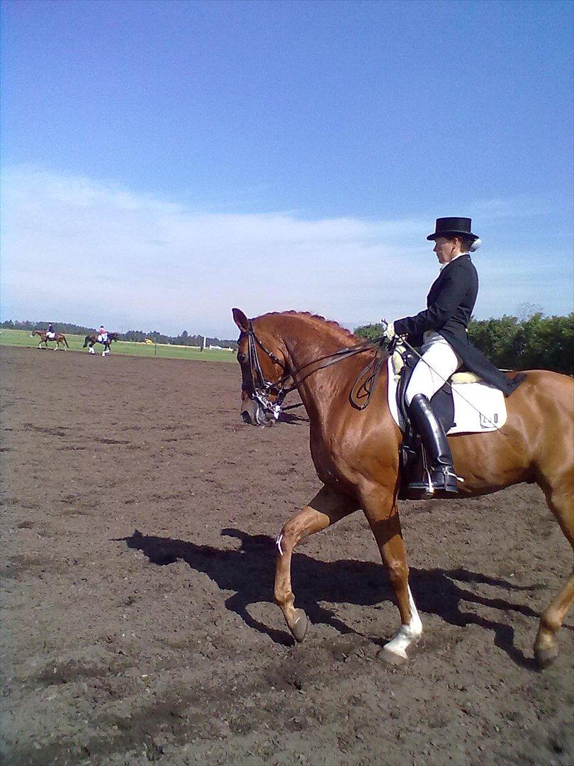 Distriktstævne på Billund sportsrideklub. billede 146